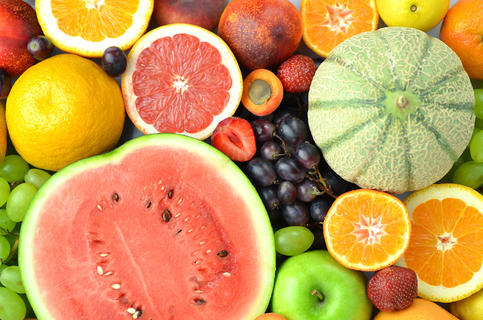 水果與無脊椎動物 自然界的多彩素材