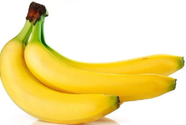香蕉與無脊椎動(dòng)物 一場(chǎng)意外的營(yíng)養(yǎng)聯(lián)想