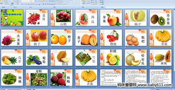 趣味探索 美味的水果與奇妙的無(wú)脊椎動(dòng)物